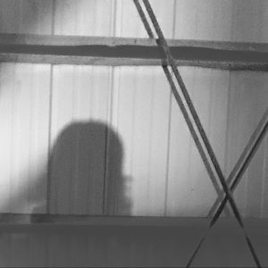 Meet your Posher, Allie